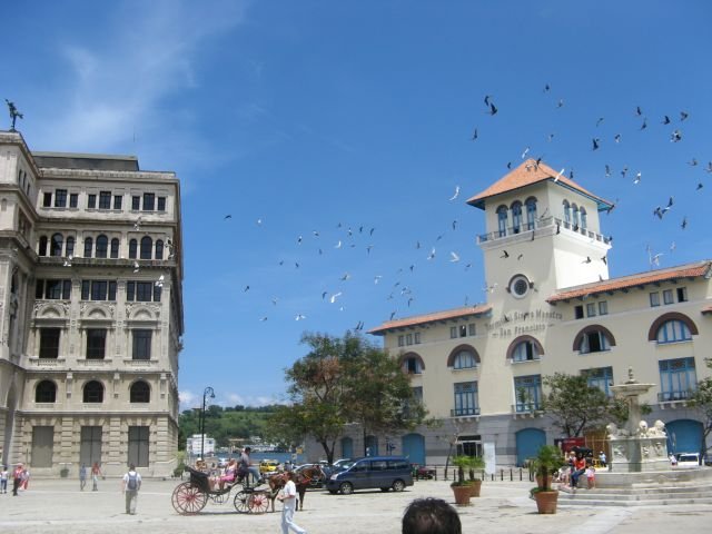 La place des pigeons  La Havane