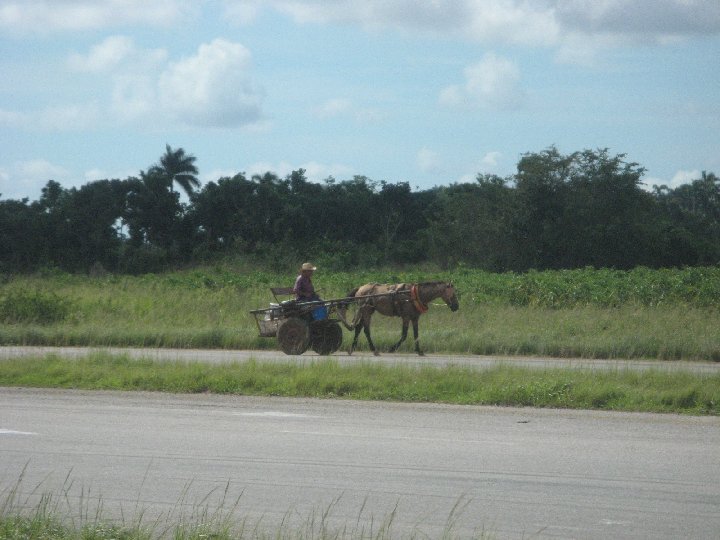 paysans cubain