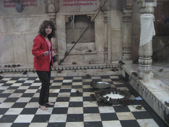 Karni Mata, le temple des rats