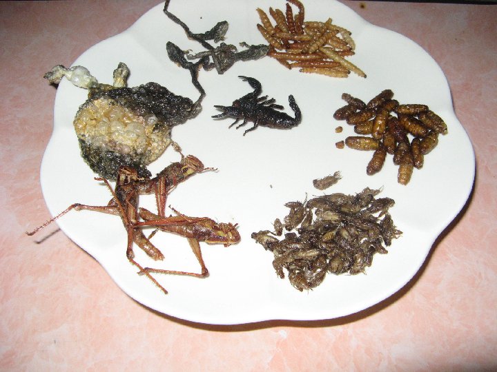 Thalande: on mange des insctes
