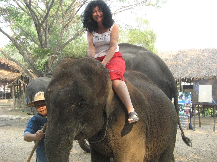 lphants de Thalande : Maetaman Elephant Camp