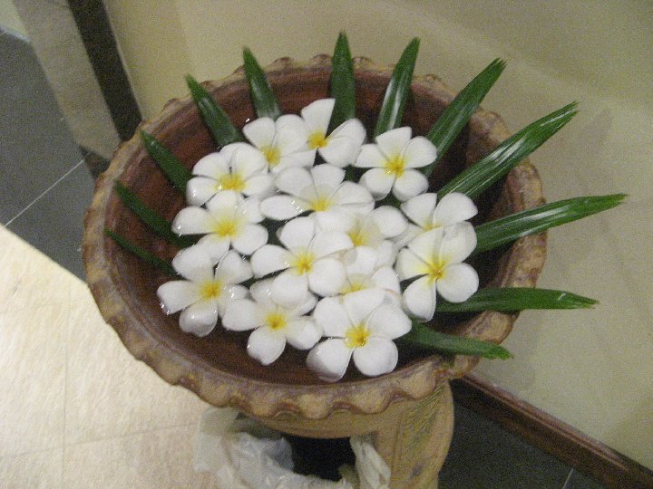 Graceland resort et spa: dcoration florale